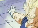Majin's Pride