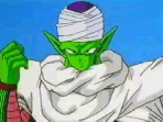 Namekian Spirit