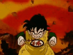 Gohan's Legacy