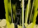 Prelude to Buu
