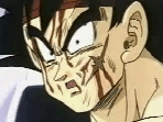 The Bardock Story