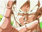 Son Goku Tribute