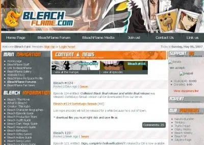 Bleach Flame anime character with fiery background, dynamic pose, and intense expression.